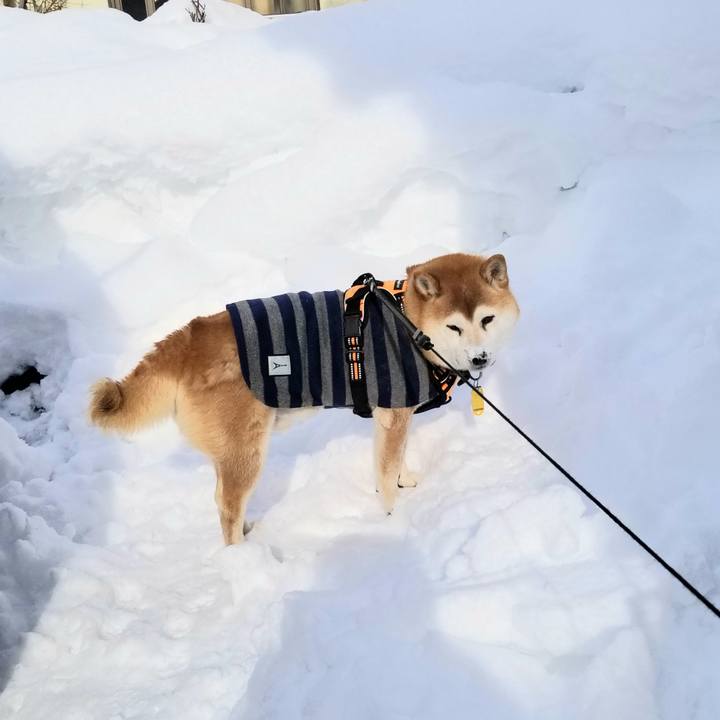 470a5ef9 d69b 4223 9840 fc9502a3a3ab 1641442083396