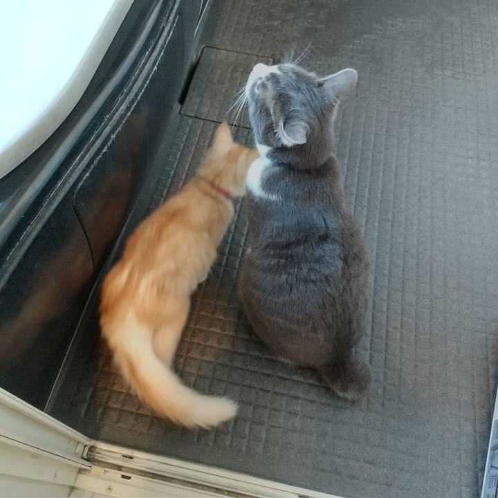 470a6ab6 9772 4963 b962 3e3ad59ff369 1607739570143