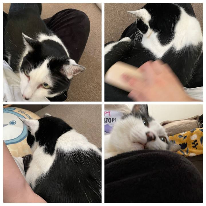 470a7d62 daab 427a bfae 36ced7cc871d 1714623058811