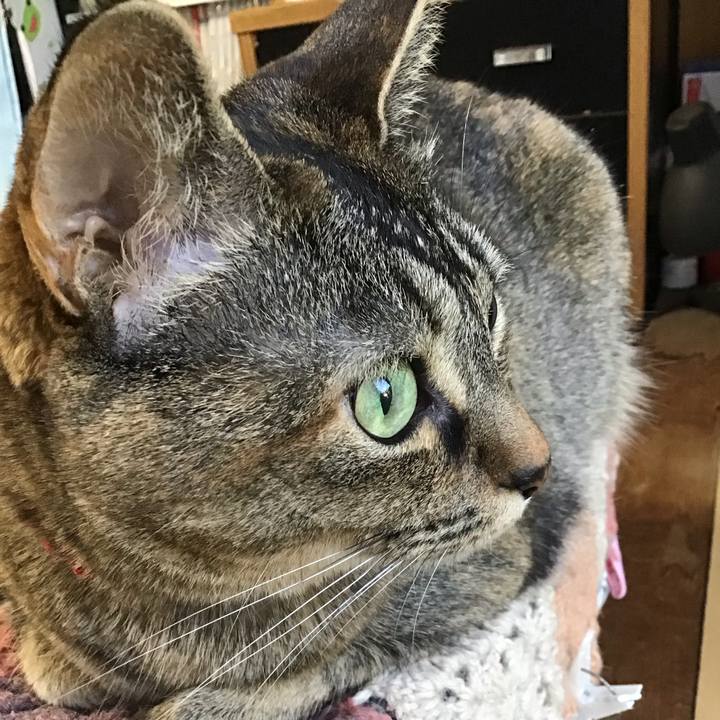 470a8208 9d14 4d2e 9077 9a7e170431c3 1684231221287