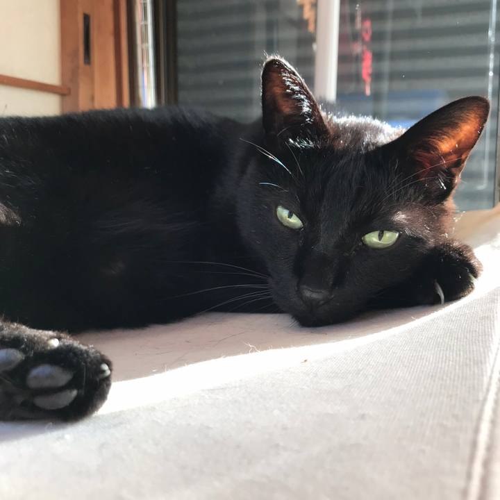 470a9314 8a37 447b 8dda 4fff0eaec827 1521251059801