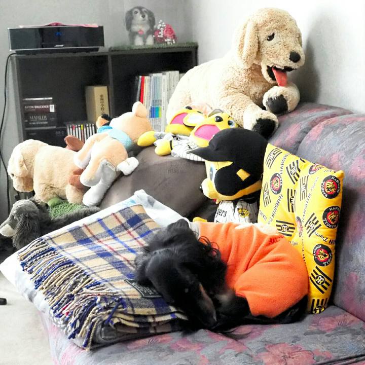 470a9347 0e70 41b1 9a0d 9deb54b7be7e 1583498360650