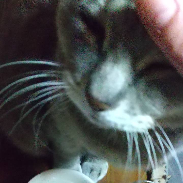 470a9393 4376 4f3b b202 b6a25c895dd9 1611301568898