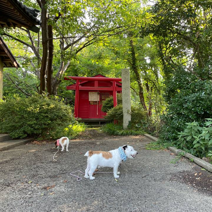 470abd6c d6ef 450c b9bd b67f8198f189 1690155014311