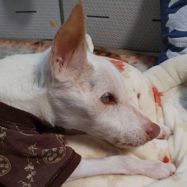 470acf02 dc50 4a6e 8961 005df5f4e466 1615596712013