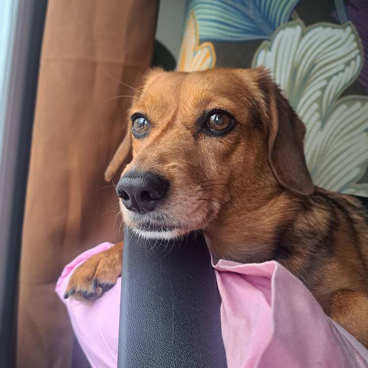 470ae808 feca 4bda bcba 14dccd5877d9 1774226904244