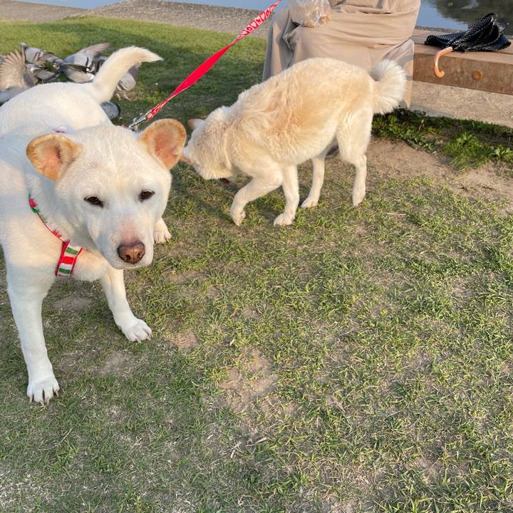 470b1605 7738 4cb2 a2ca 48933b91c28d 1649423330388