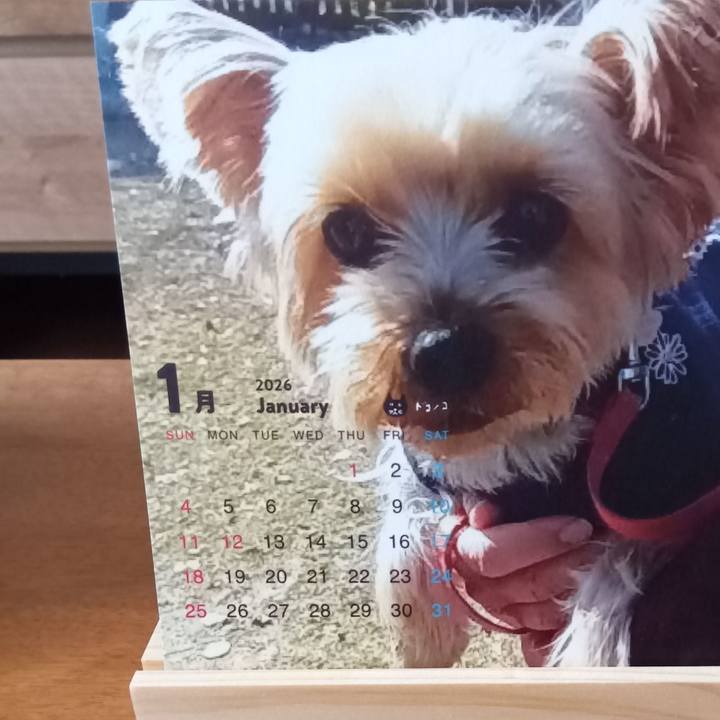 470b23df 83bf 4a59 aec7 e99831a54e49 1765270981483