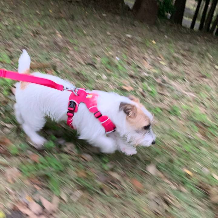 470b30e2 6085 44e6 ab66 efc609e08712 1571386898674