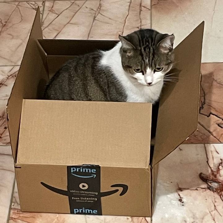 470b7fcf d251 4727 9d1c 7f4cd940284a 1769554285996