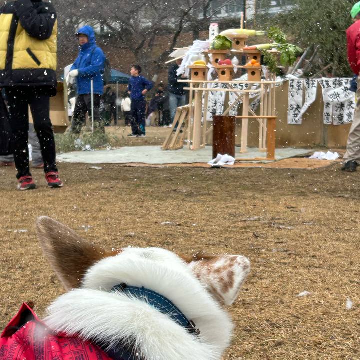 470b8870 ae3c 4de0 9e27 f40399650008 1768105068031