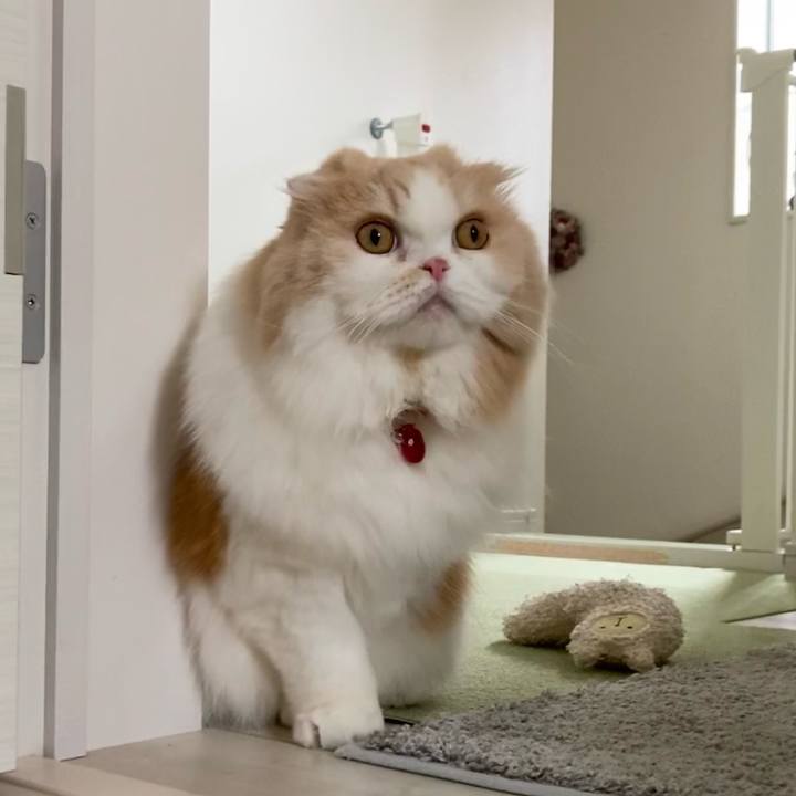 470b8c1d d7d4 4a6e 8482 6f1f27a74b4a 1654119542497