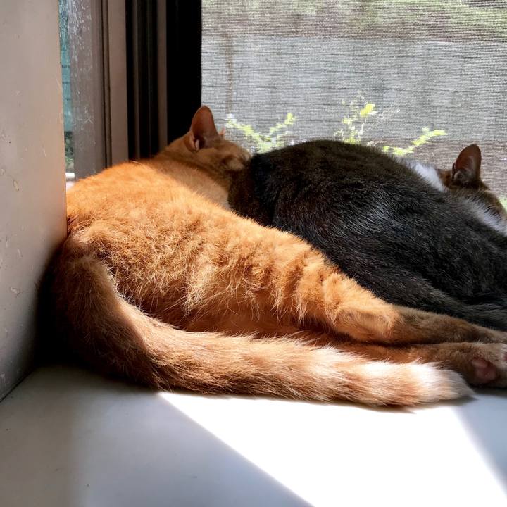 470b946b be41 4602 beae ce90992785ae 1526979383699