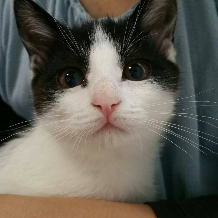 470b9eb5 04b3 42c1 8ff0 86bb8e45d97a 1535938933194