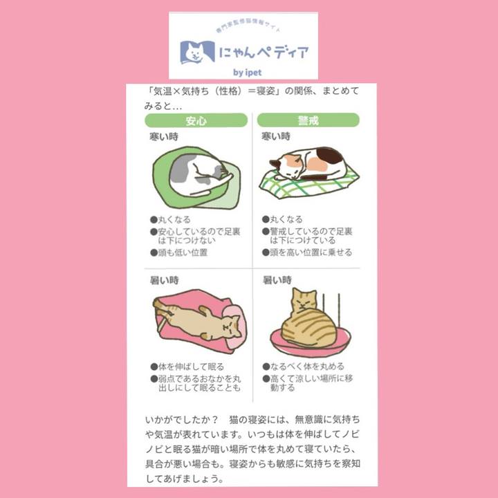 470ba49f e639 4554 8960 f5de2af41948 1523258213449