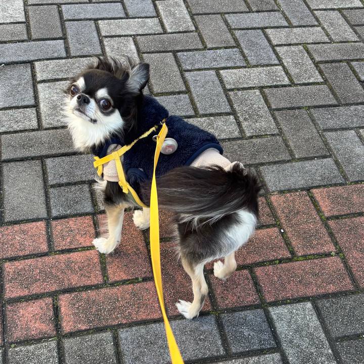 470ba774 9bcf 44b7 b021 f4b048ef8047 1734193994913