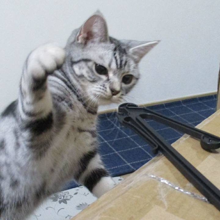 470baee1 3d33 4697 bc7b 8bca1d3b1560 1552211320415