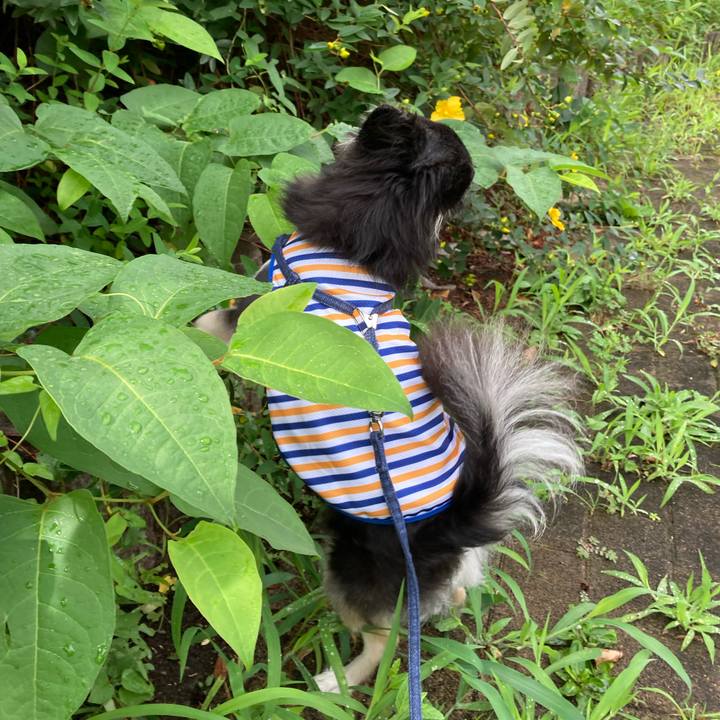 470bce66 b055 40a6 adb5 ac532ffa7833 1688222297406