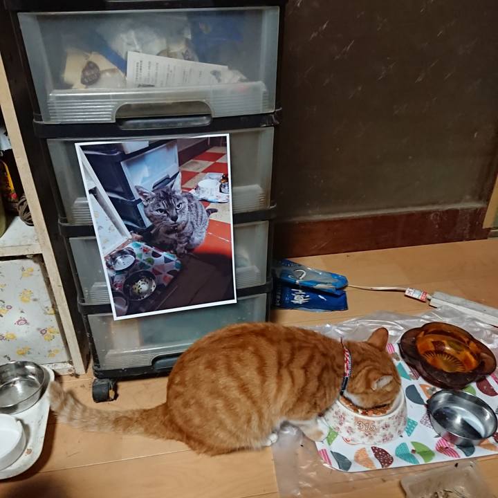 470bd217 d0cd 4fa4 9b7d e33ae541e6a5 1599337048908