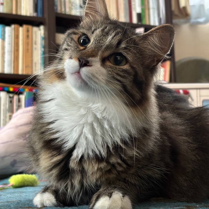 470be668 1bee 4c4f a15f 0fb3099866b0 1751150498284