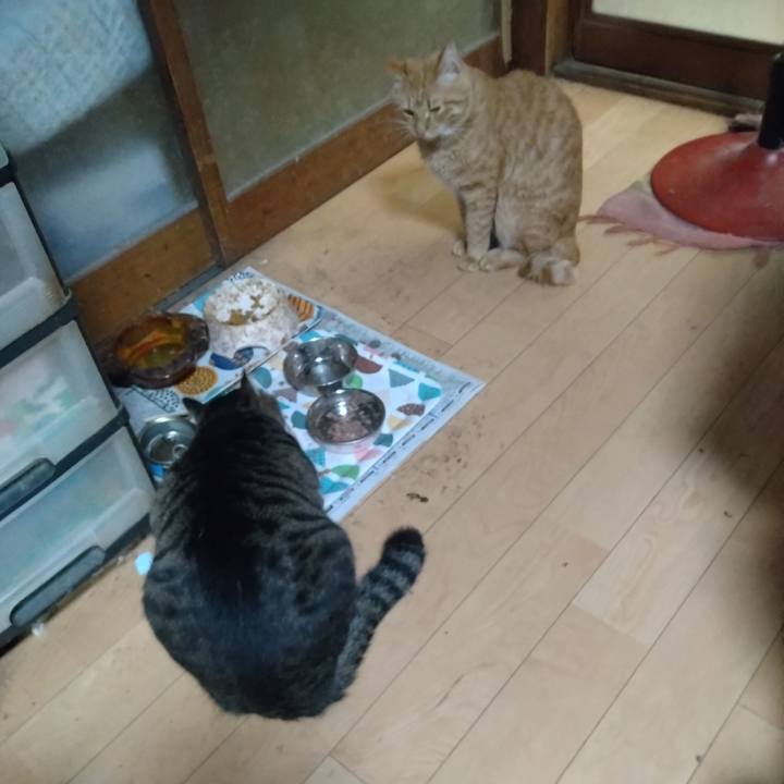 470bf766 0e1a 44c8 ac98 fd11e6150949 1669290205247