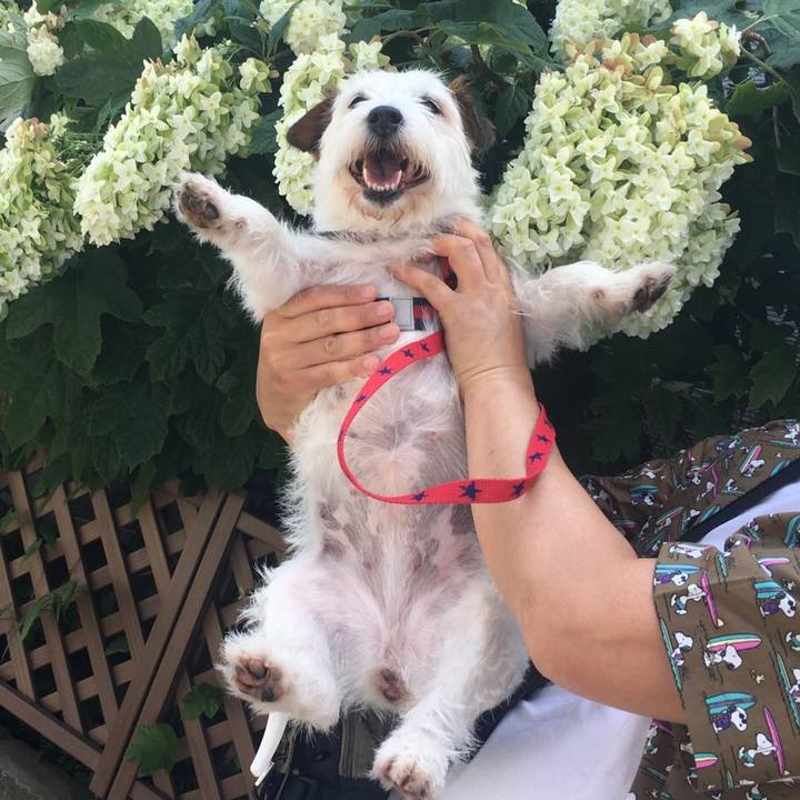 470bf7a6 1504 4e29 af53 acefe309e007 1593407870765