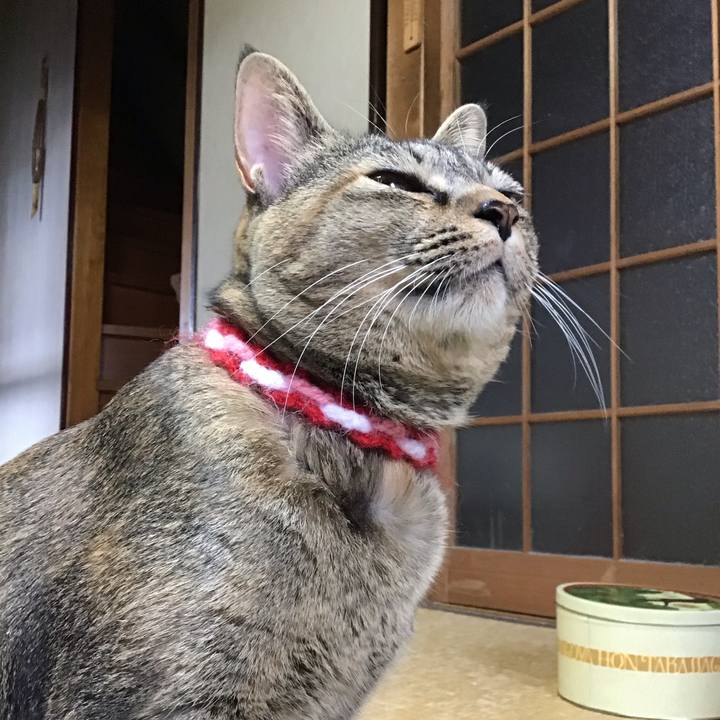 470c2899 6d38 41c2 b817 f6ebc809b418 1604702306523