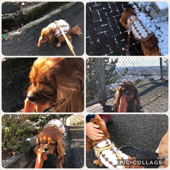 470c3c4a 1c67 4165 a5c4 bc98faf76bf8 1609374343512