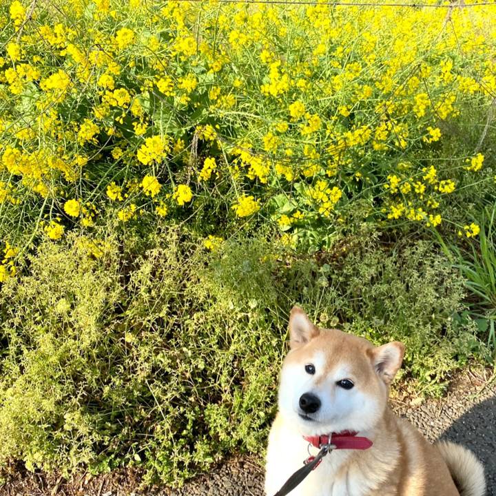 470c72cb 773c 4994 9cf7 ae77bfa3c302 1617686623149