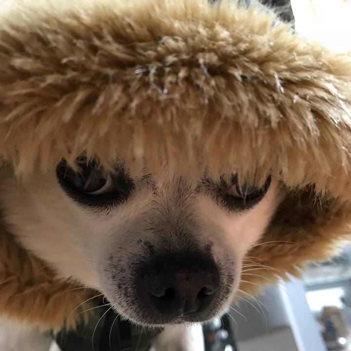 470ca1b2 c3e5 47a1 9194 e4660364a190 1513251156449