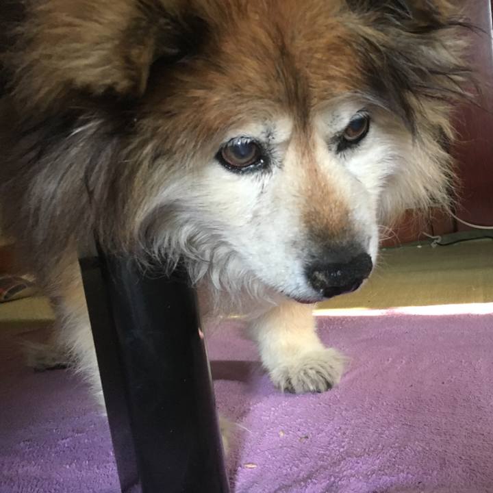 470cbf9a 03a9 4461 a07b c8455c2627ef 1620447230534