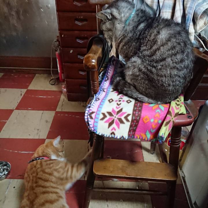 470ccf70 1b77 4726 b29e c0c5d2826248 1570675604327