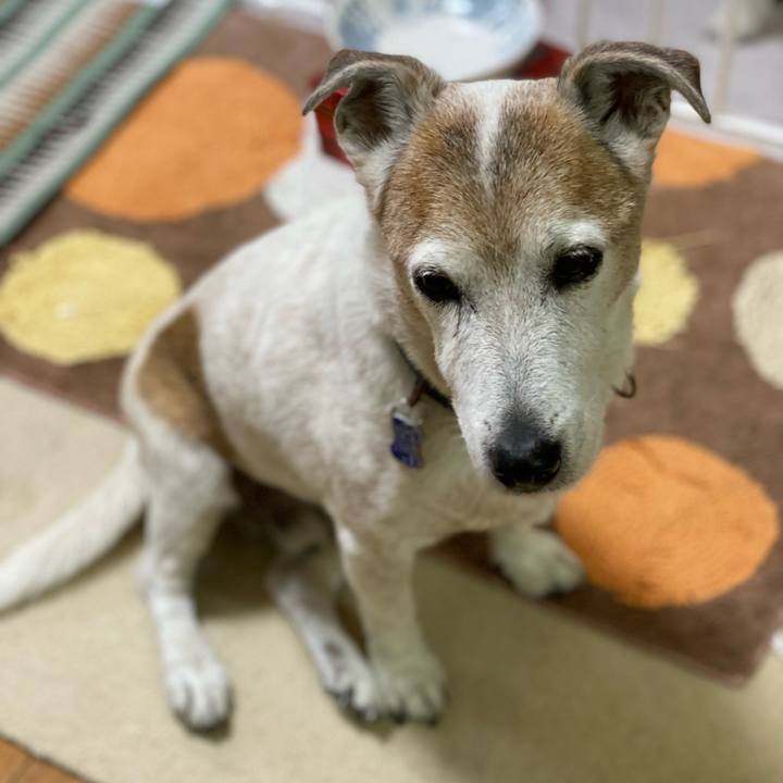 470ce107 a6d4 4f33 9bb9 1debd16228a5 1652052084523