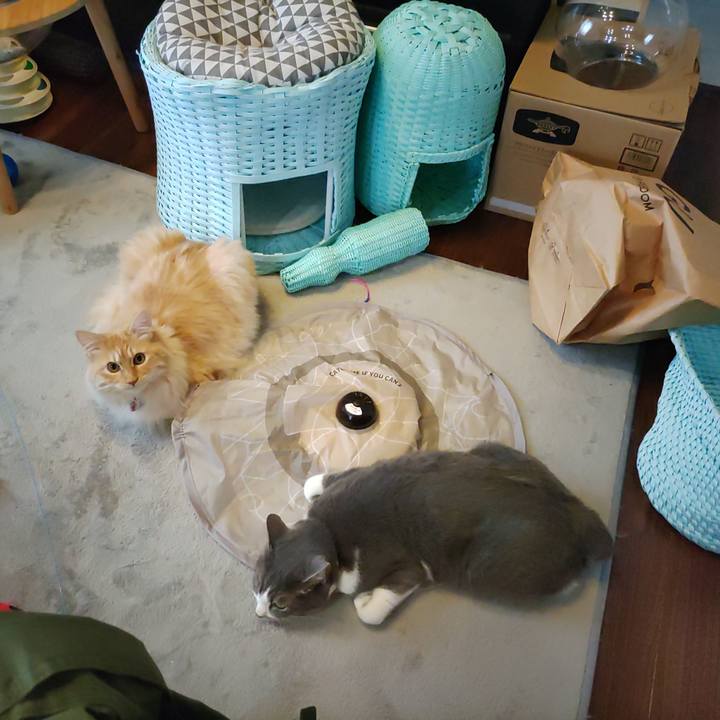 470cfdf2 fca8 4206 9cc3 6d48b028c62a 1654681916905