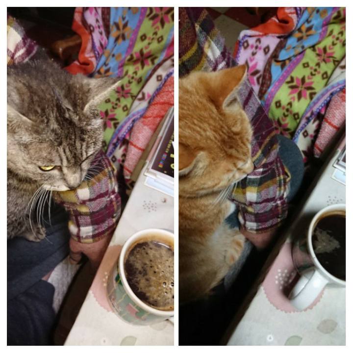 470d1abb 9516 470e ada9 a2292351dd49 1585511977856