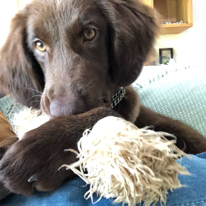 470d3b9c 94b3 4eb3 a786 55e59c1dc053 1556835707580