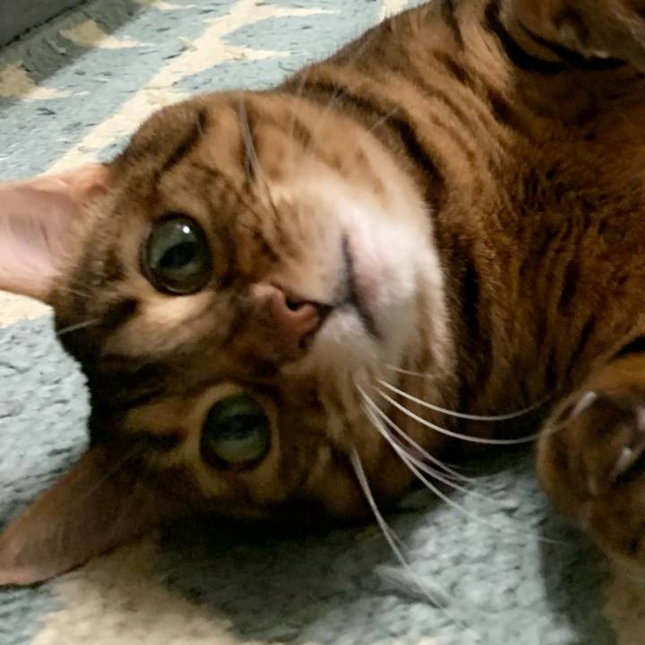 470d404e 0b5f 45c1 af77 6dcaf1788687 1613690393726