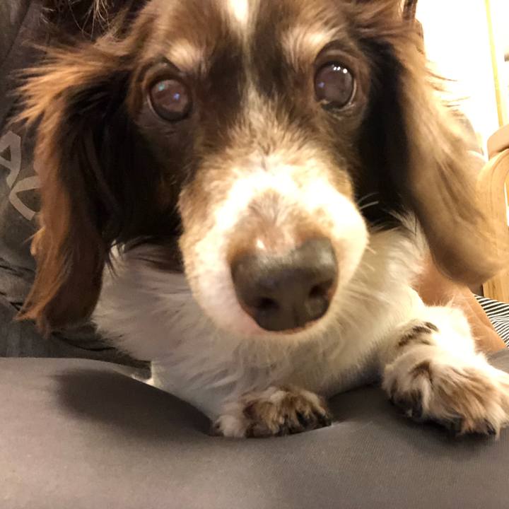 470d5e66 3f42 4bc1 9b5f 6358177ce861 1572913850302