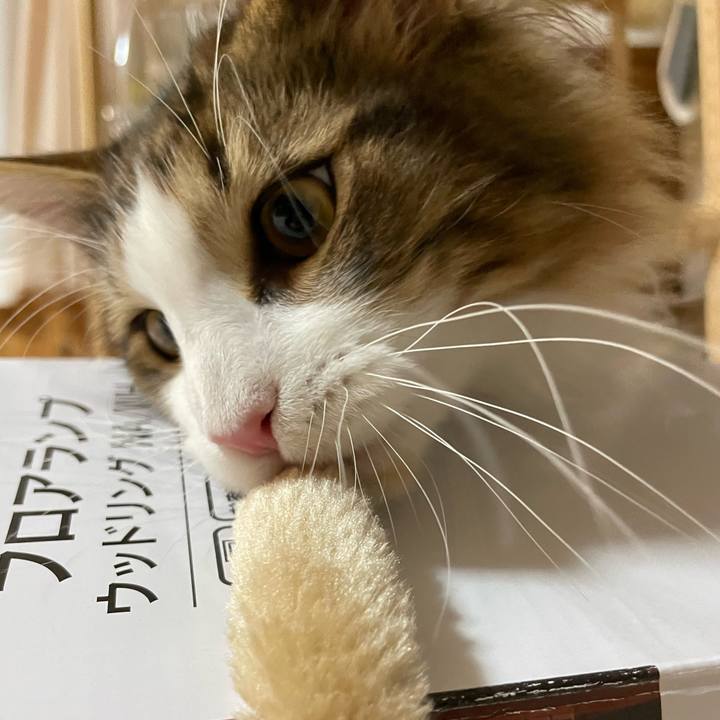 470d69ab a72c 4018 89a8 c651d4761366 1638308581127