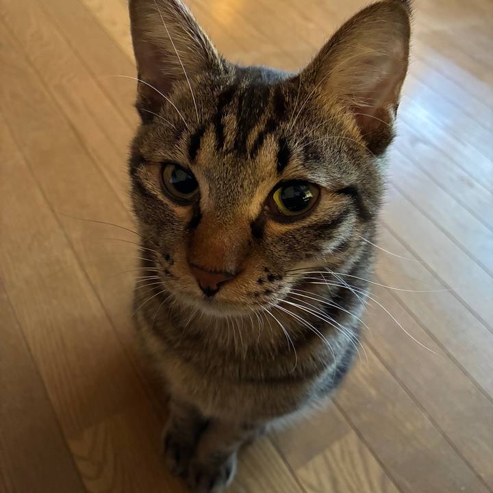 470d9408 c96e 4744 8cbd 05610b36125b 1757017553475