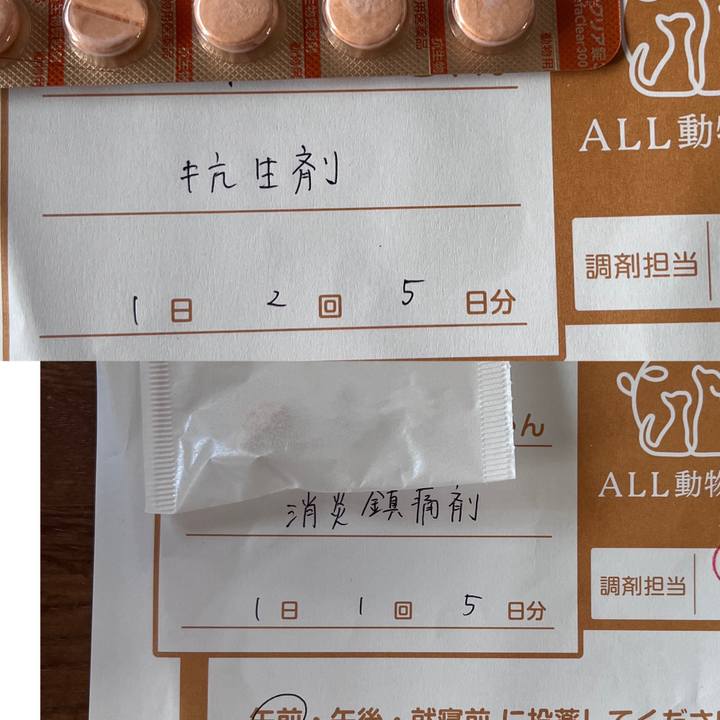 470dc34a a1ed 4301 9967 b14ed9531a67 1704444420536