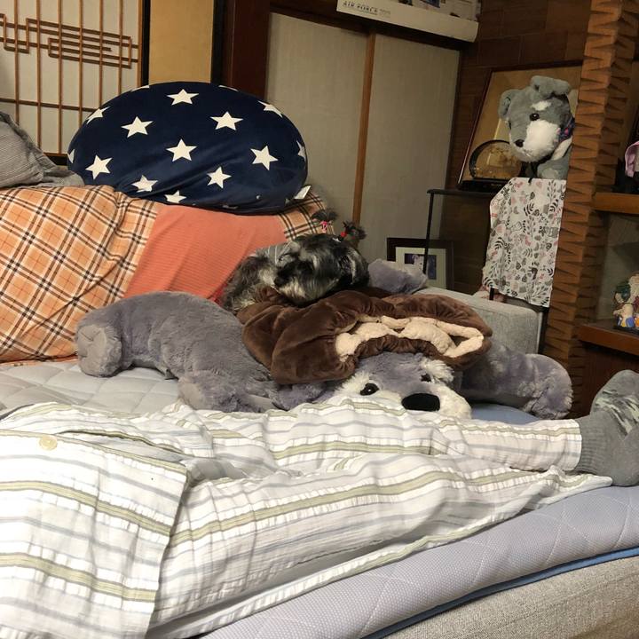 470e23e7 c256 46cb aed5 9a05ca7370f4 1636264973708