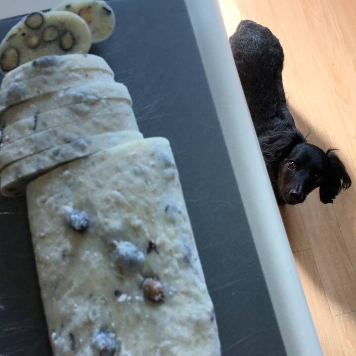 470e811b 29af 4e9c 8f54 f85e595c9d72 1514603003934