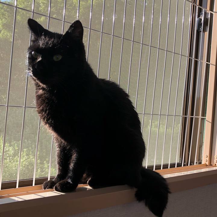 470eaa45 6ee7 4699 aee5 254c81fa0a15 1562015410412