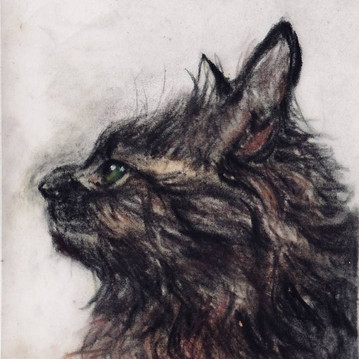 470eb580 5cbb 47ba 8db9 2dd6cef8d812 1743722817110