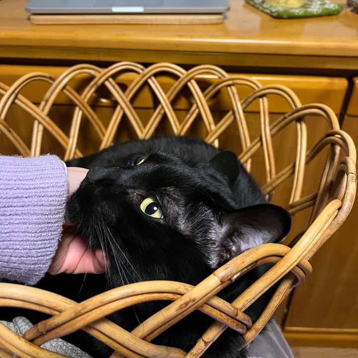 470eba39 5594 4b01 b3bd 5d4d848d2eaf 1674312078455