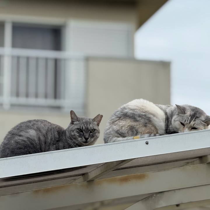 470ee34b b00a 4fe2 9c4a 2846ea2a947a 1759804636821