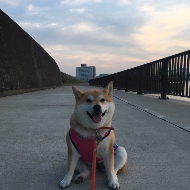 470ef645 aace 407e a93a 6189e7bd7583 1561545392154