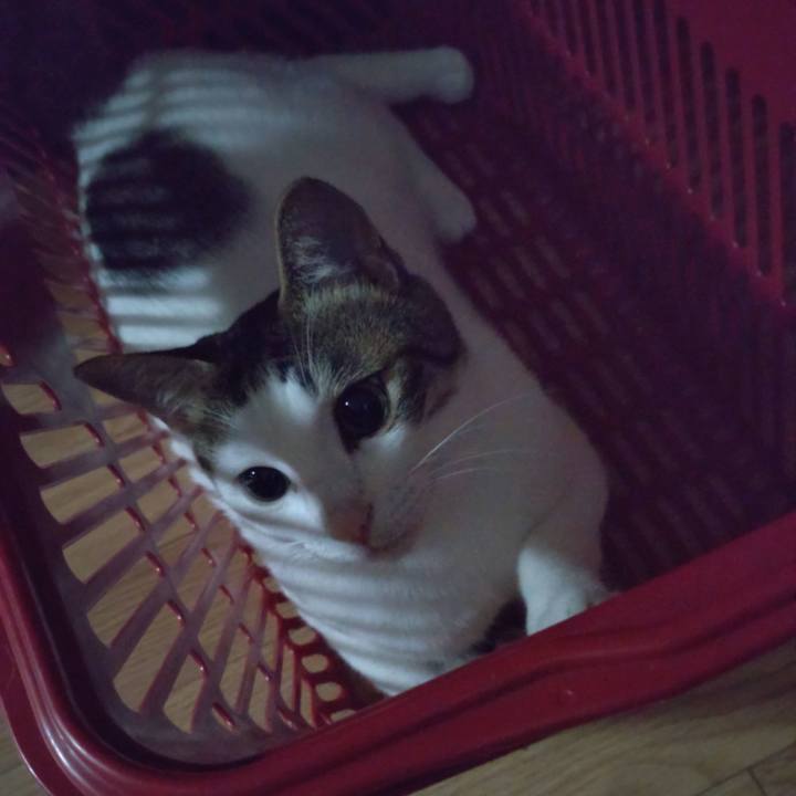 470f05d9 7113 47f2 a0a3 7e0f507e5ff7 1690202483392