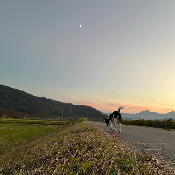 470f09d8 0eb1 4753 a362 2691d802b740 1667227155332